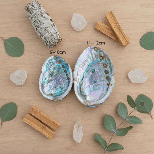 ABALONE SKJELL 9 - 12 cm - SMUDGE SKÅL - bergamott DESIGN