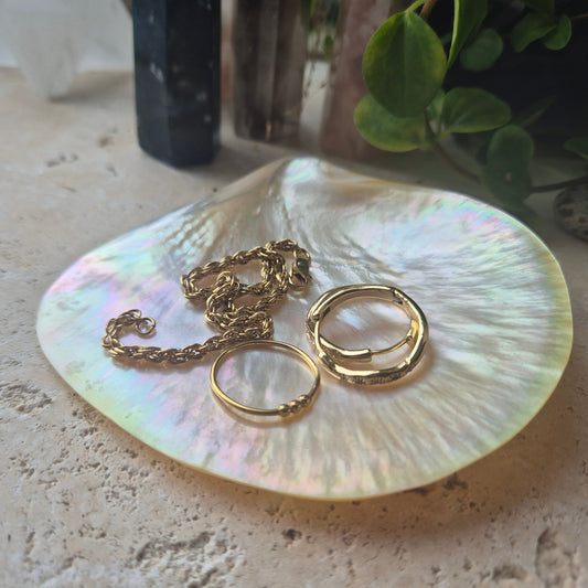 GYLDENT POLERT PERLEMOR SKJELL 9+mm - bergamott DESIGN