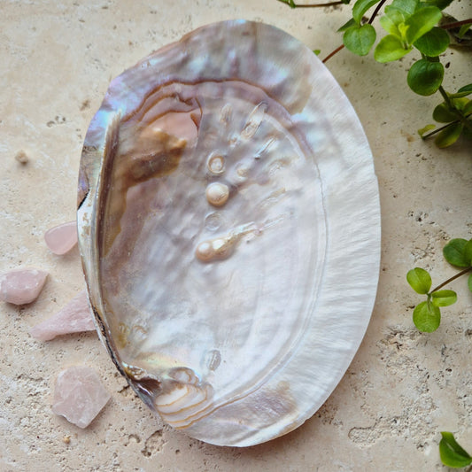 PERLEMOR SKJELL M/PERLER 13 - 18cm - bergamott DESIGN