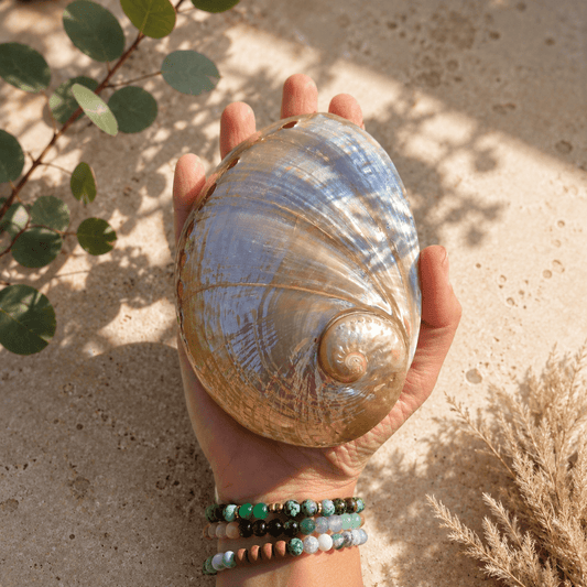 POLERT HVITT ABALONE SKJELL 13cm - SMUDGING SKÅL - bergamott DESIGN