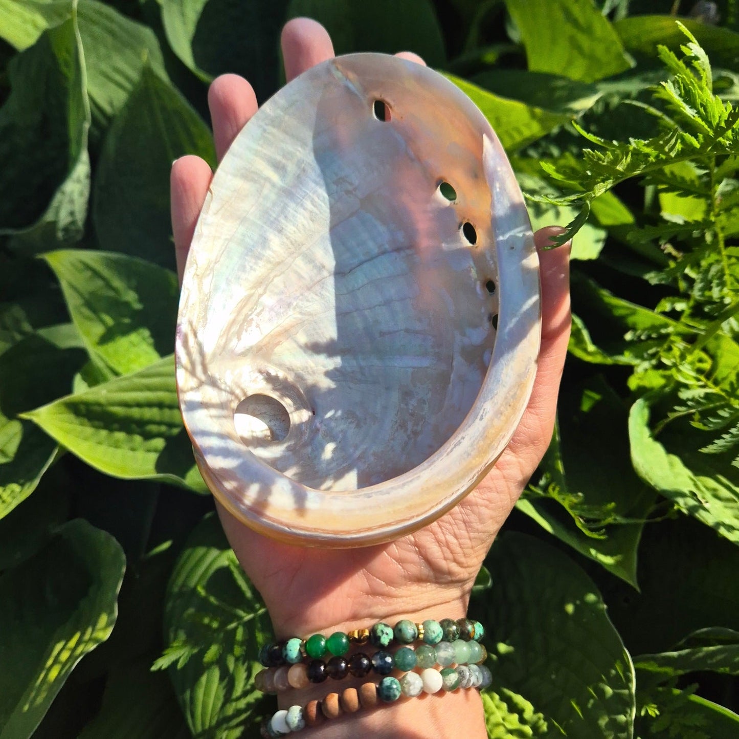 POLERT HVITT ABALONE SKJELL 13cm - SMUDGING SKÅL - bergamott DESIGN
