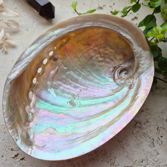 POLERT HVITT ABALONE SKJELL 13cm - SMUDGING SKÅL - bergamott DESIGN