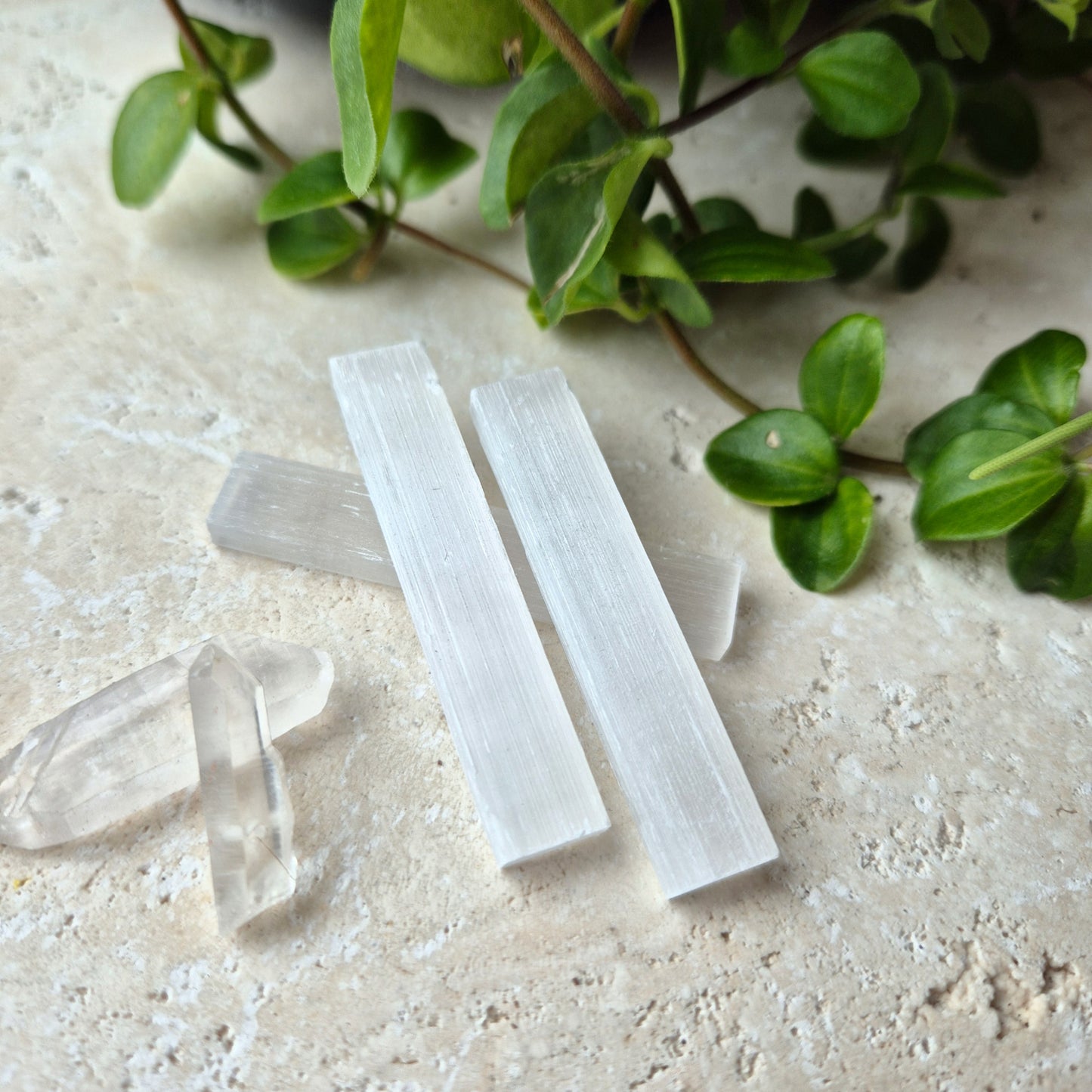 SELENITE STAV