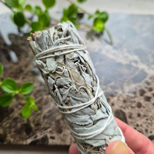 SALVIE HVIT 10CM - bergamott DESIGN