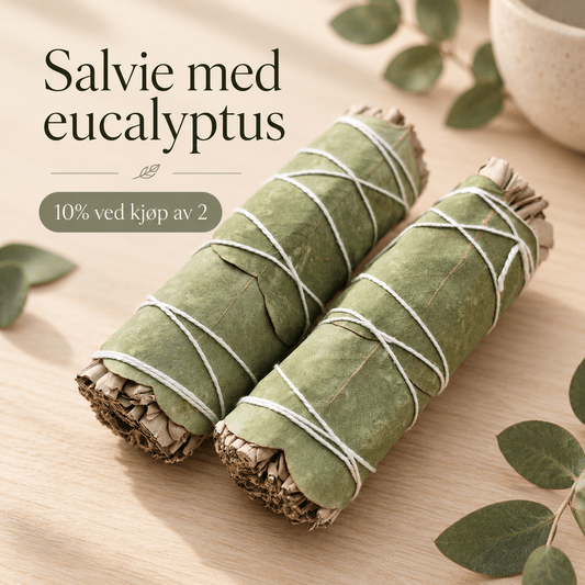 SALVIE MED EUCALYPTUS 10cm - bergamott DESIGN