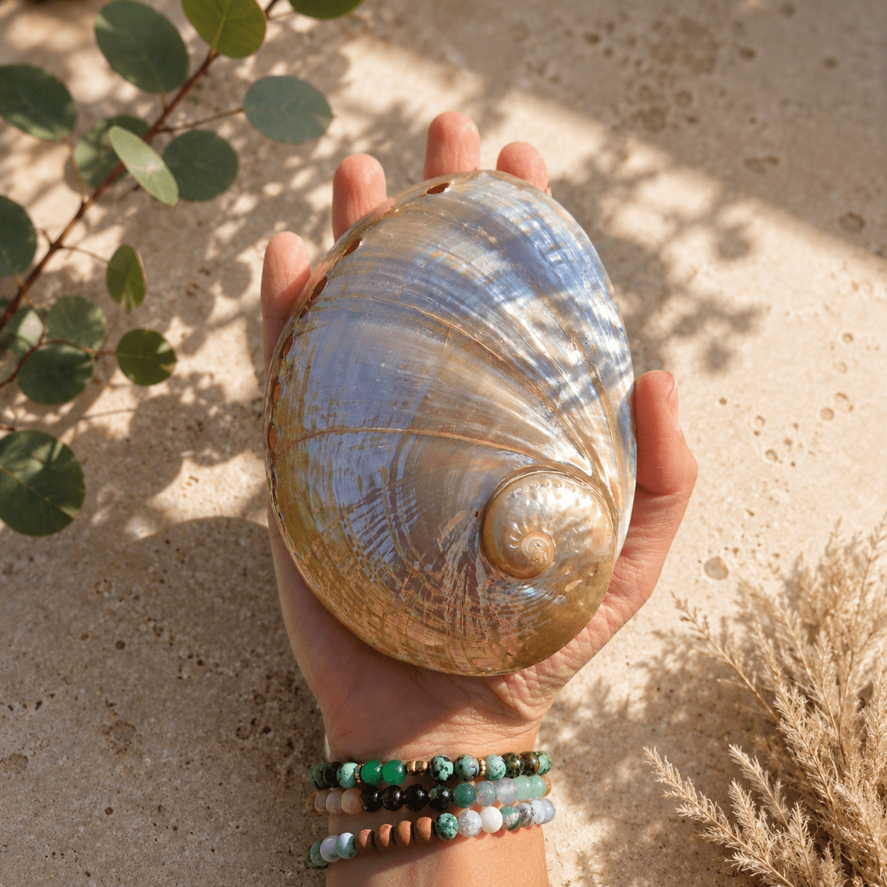 POLERT HVITT ABALONE SKJELL 13cm - SMUDGING SKÅL - bergamott DESIGN