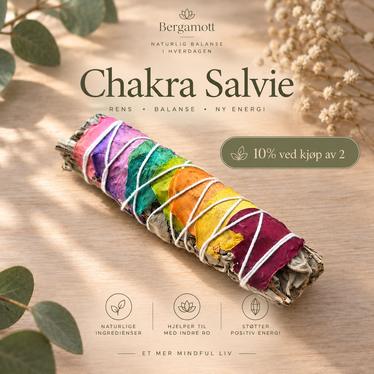 CHAKRA SALVIE 10cm