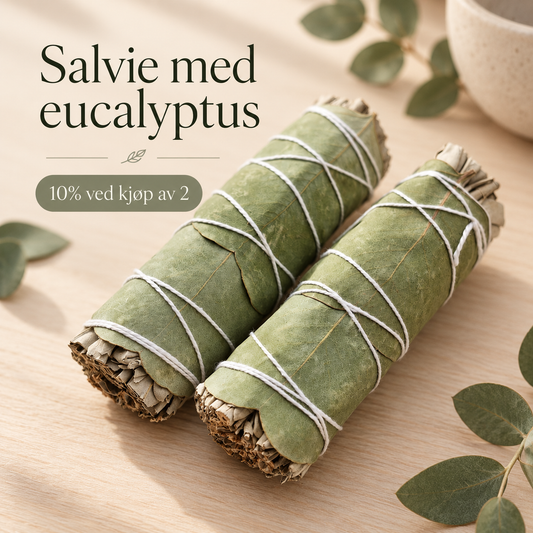 SALVIE MED EUCALYPTUS 10cm